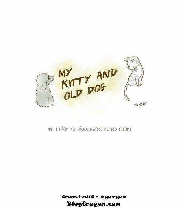 My Kitty And Old Dog Chapter 11 trang 1