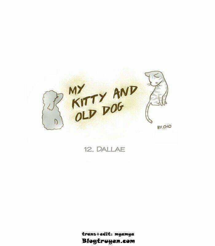 My Kitty And Old Dog Chapter 12 trang 1