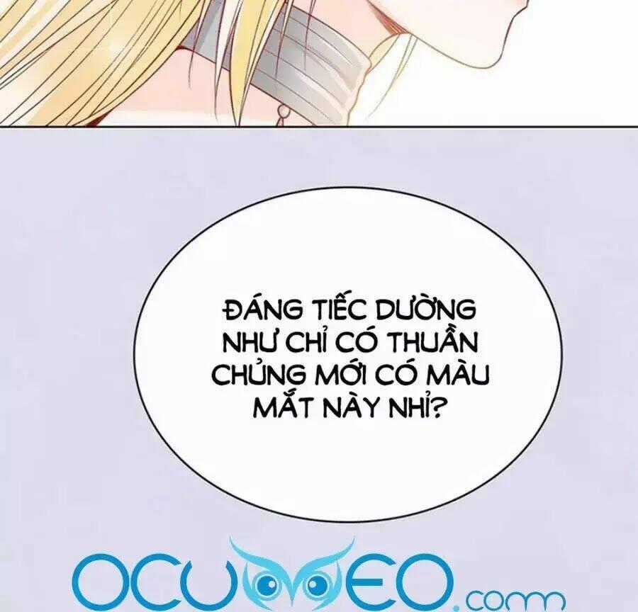 Mỹ Nhân Già Rồi Chapter 67 trang 1