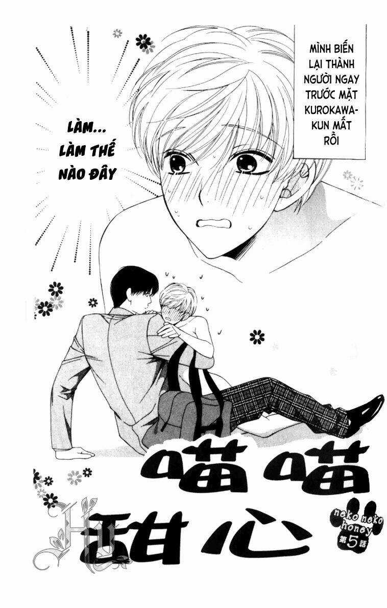 Neko Neko Honey Chapter 5 trang 1