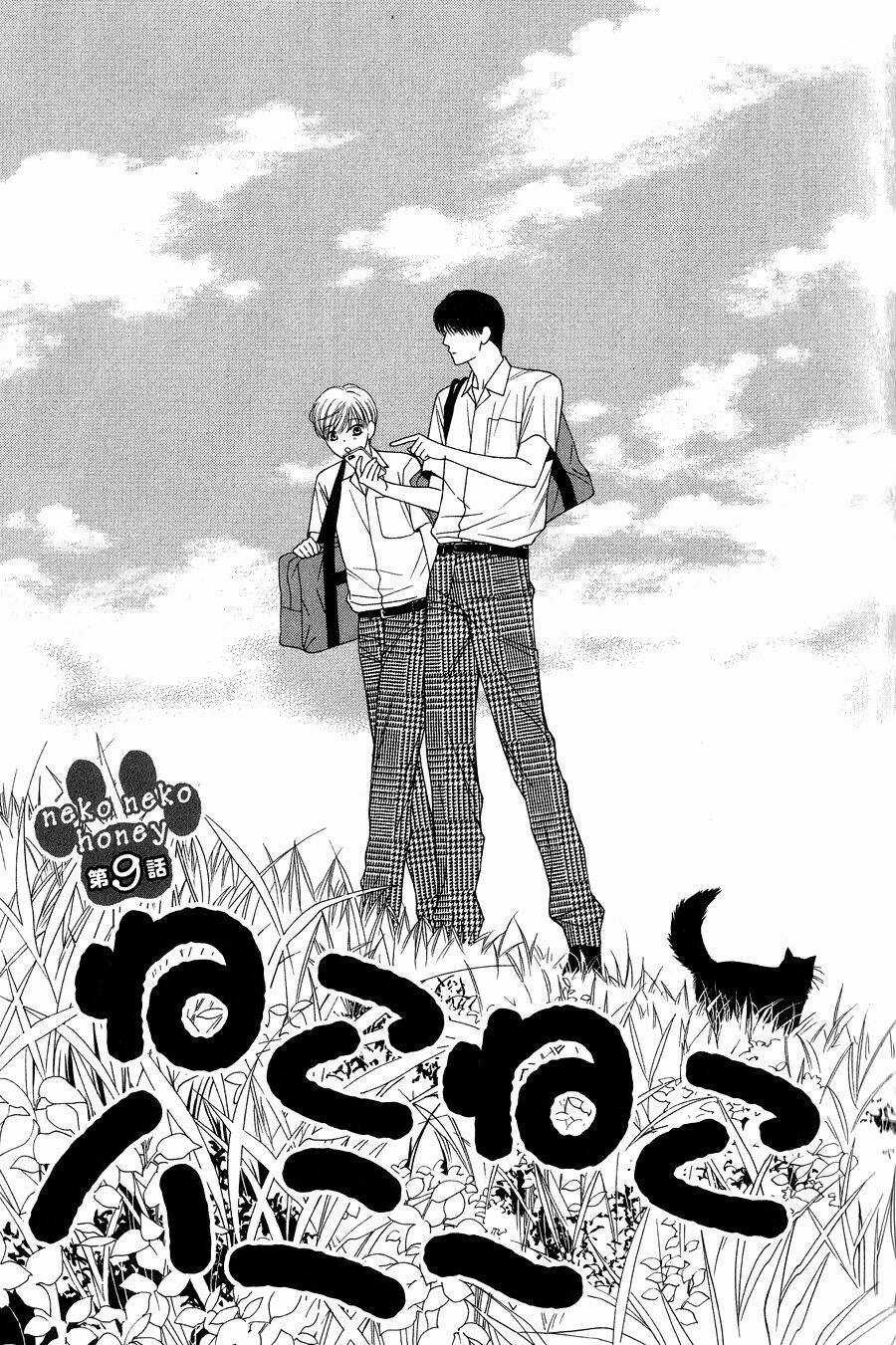 Neko Neko Honey Chapter 9 trang 1