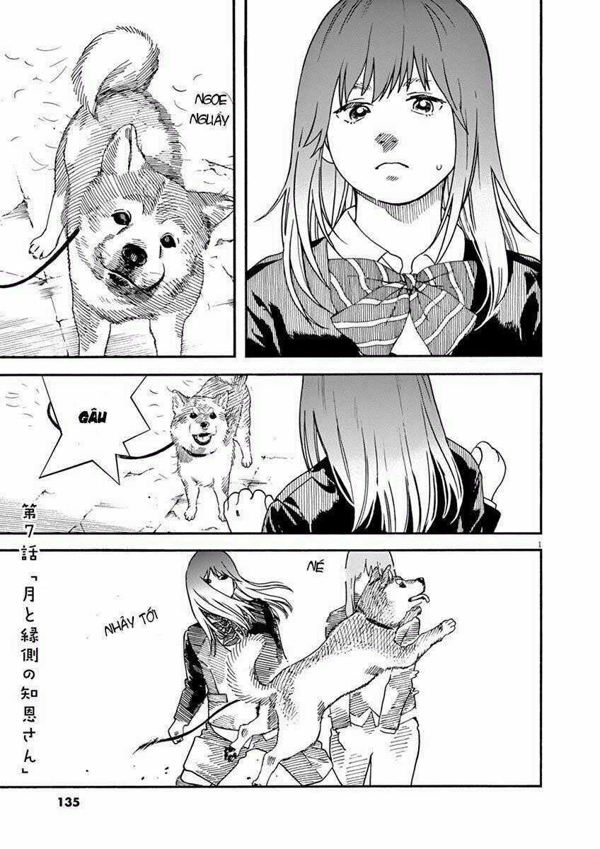 Neko No Otera No Chion-San Chapter 7 trang 0