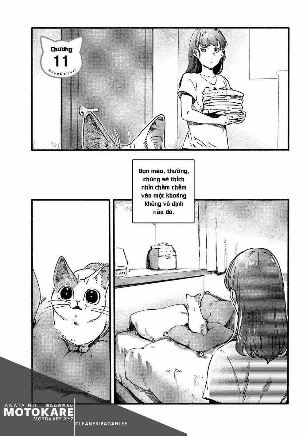 Nekodamari Chapter 11 trang 0