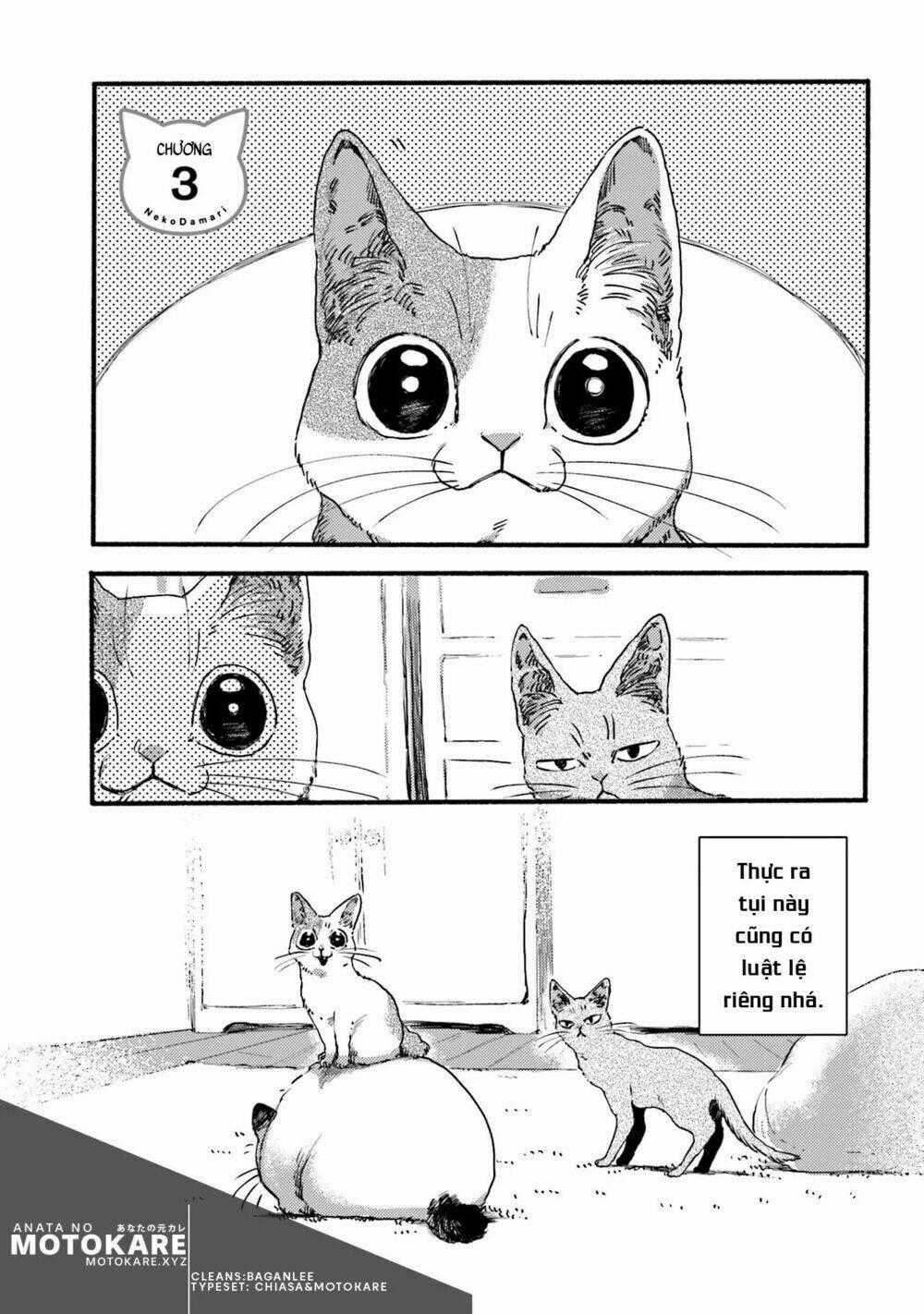 Nekodamari Chapter 3 trang 0