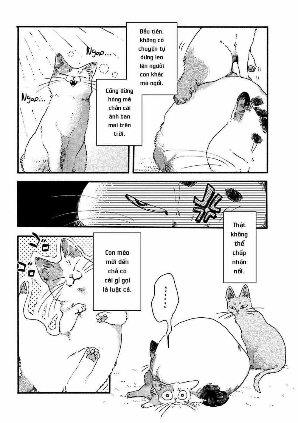 Nekodamari Chapter 3 trang 1