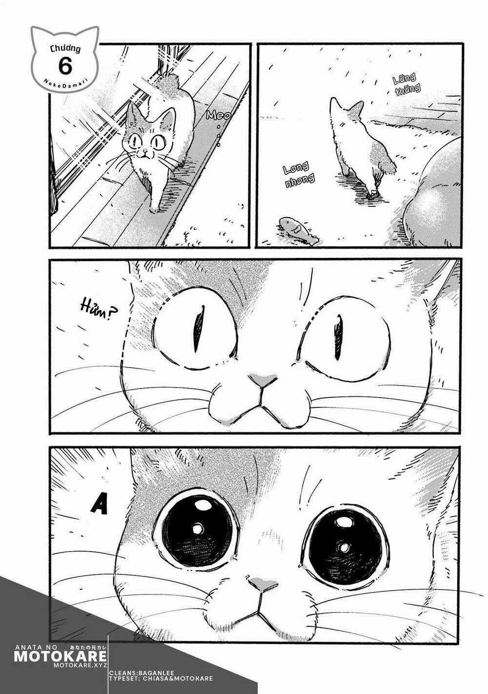 Nekodamari Chapter 6 trang 0