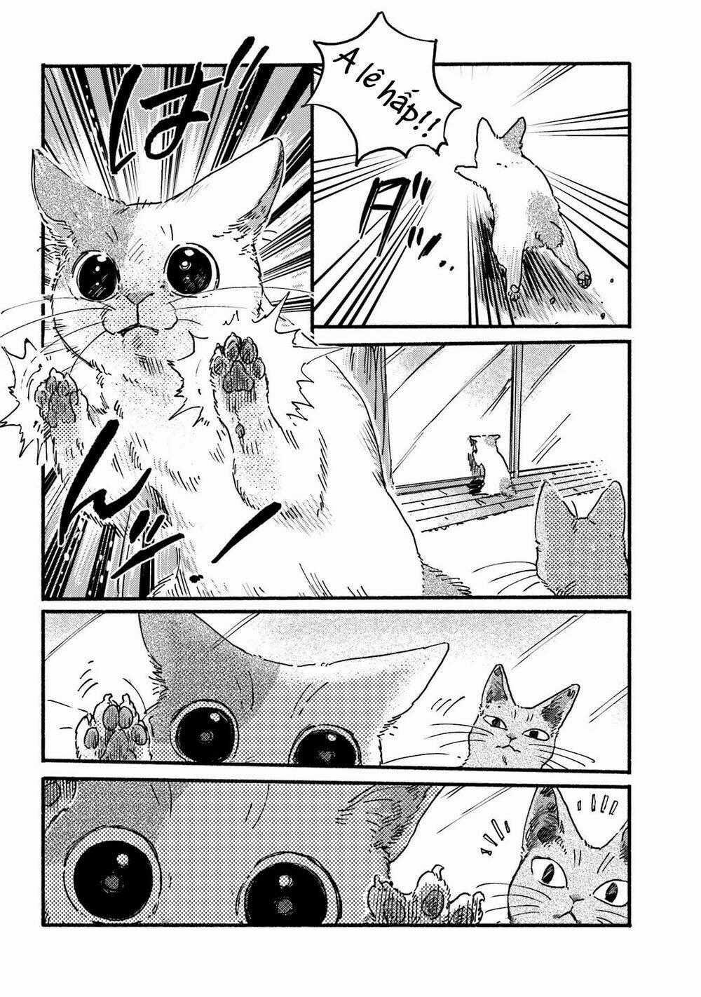 Nekodamari Chapter 6 trang 1