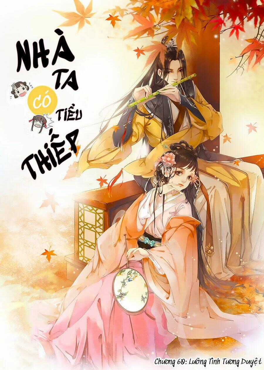 Nhà Ta Có Tiểu Thiếp Chapter 60 trang 0