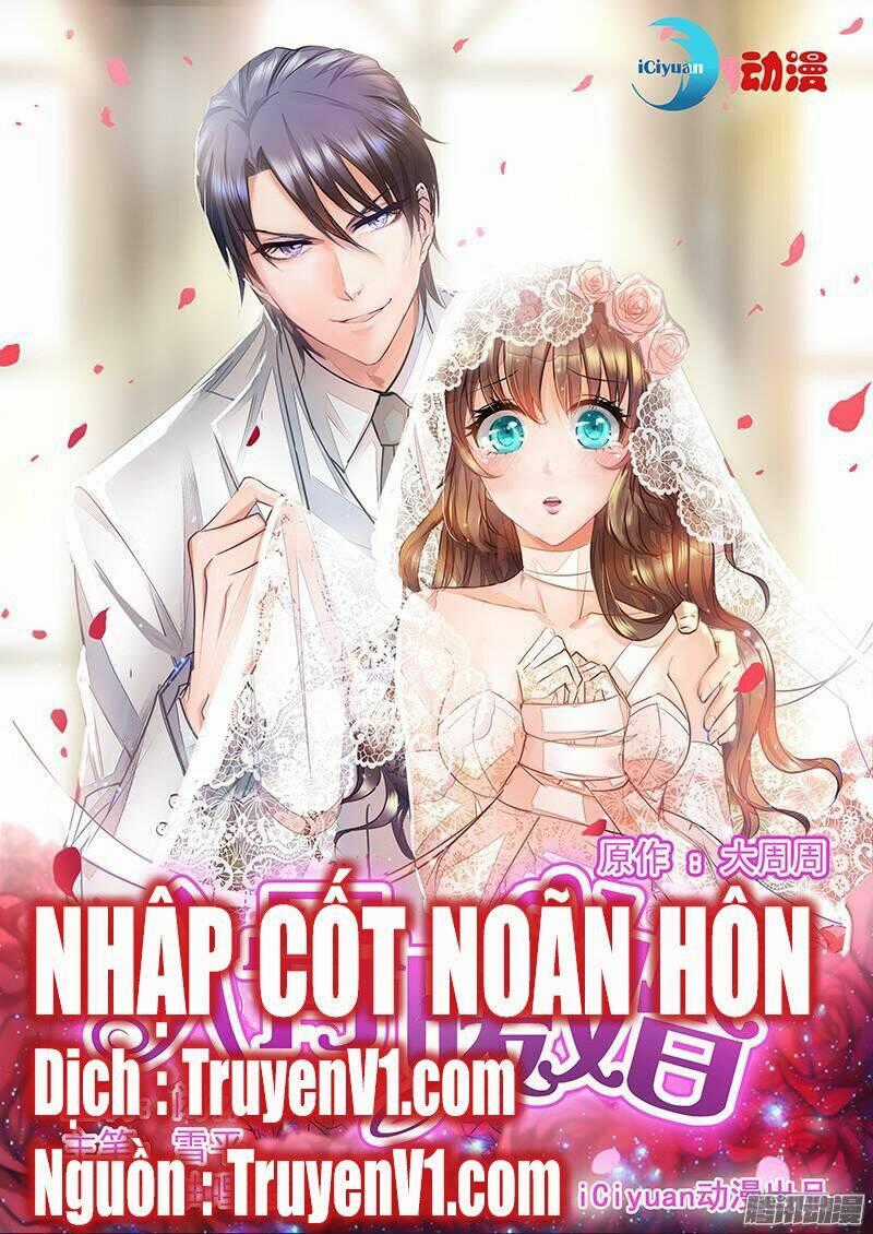 Nhập Cốt Noãn Hôn Chapter 1 trang 0