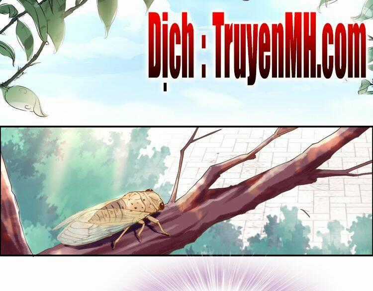 Nhất Sinh Nhất Thế Tiếu Thương Khung Chapter 6 trang 1