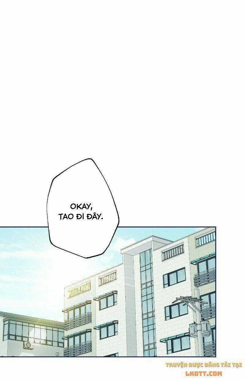 Nice To Meet You Chapter 48 trang 1