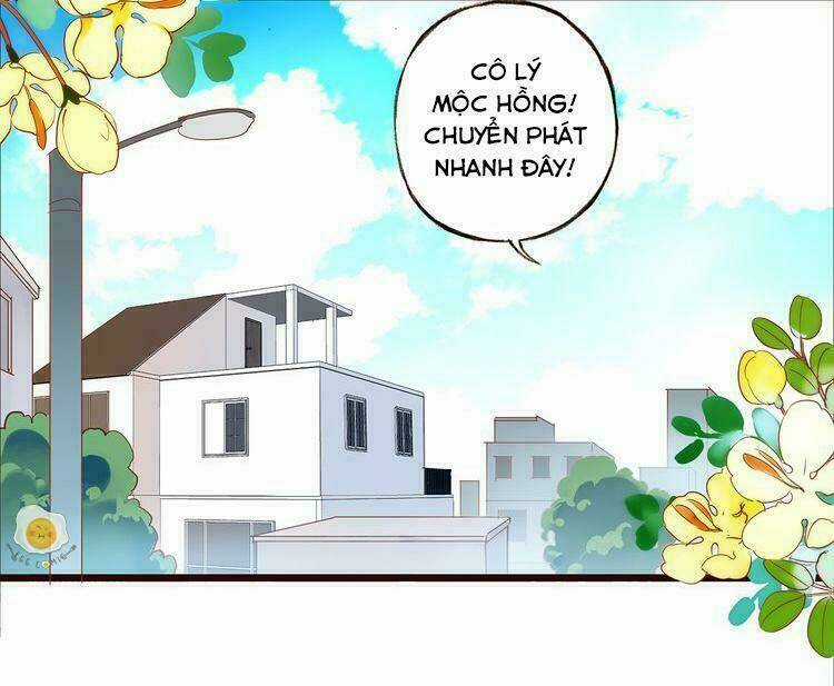 Nở Rộ Trên Bụi Gai Chapter 4 trang 1