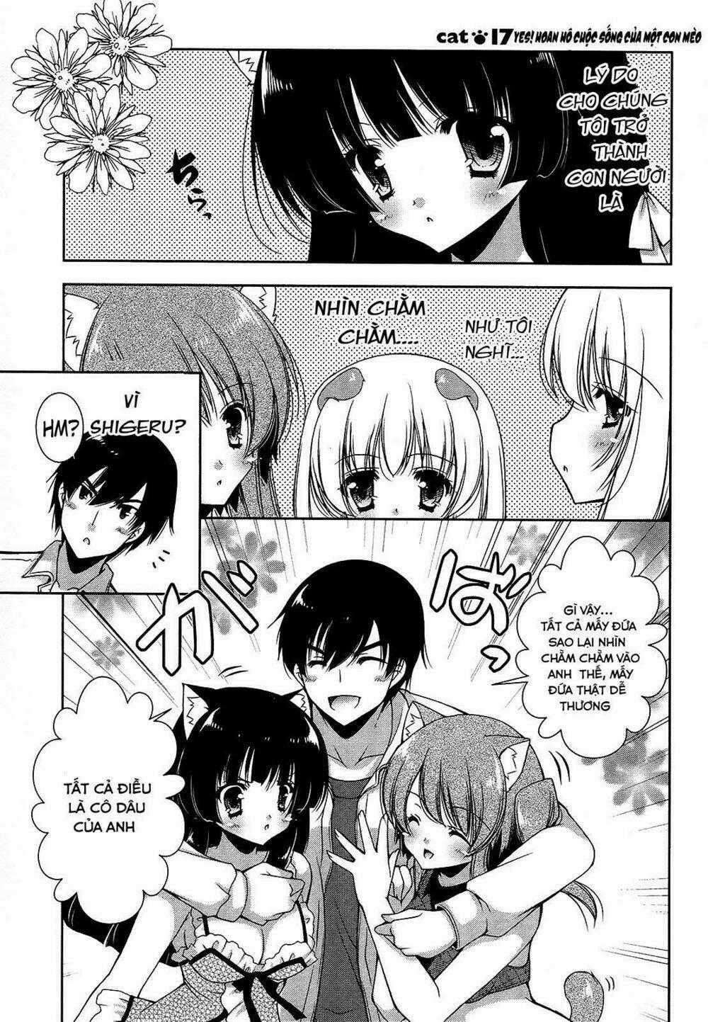 Nyatoo Chapter 17 trang 0