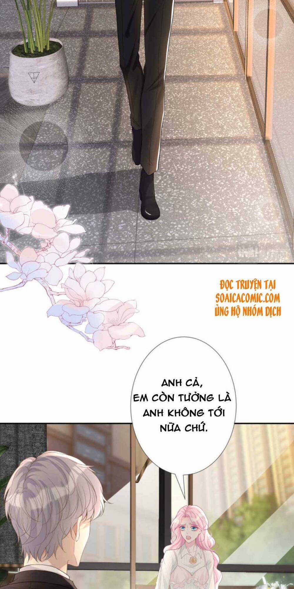 Ôm Khẩn Tiểu Mã Giáp Của Tôi Chapter 22 trang 1