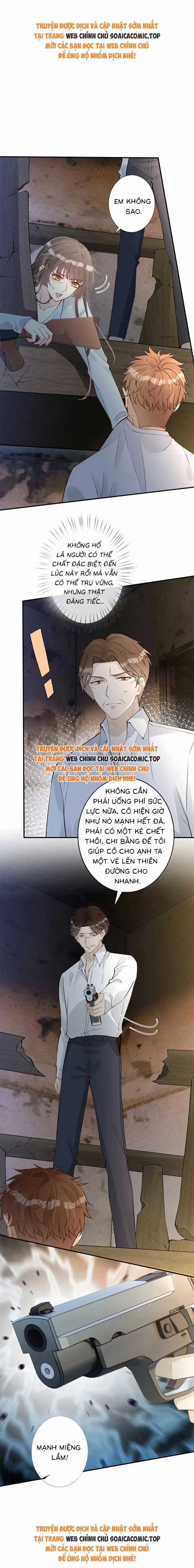 Ôm Khẩn Tiểu Mã Giáp Của Tôi Chapter 320 trang 0