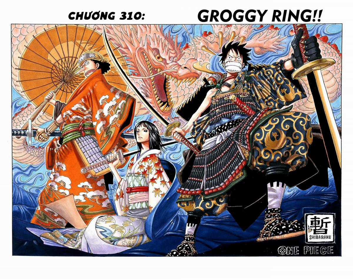 One Piece Color Chapter 310 trang 0