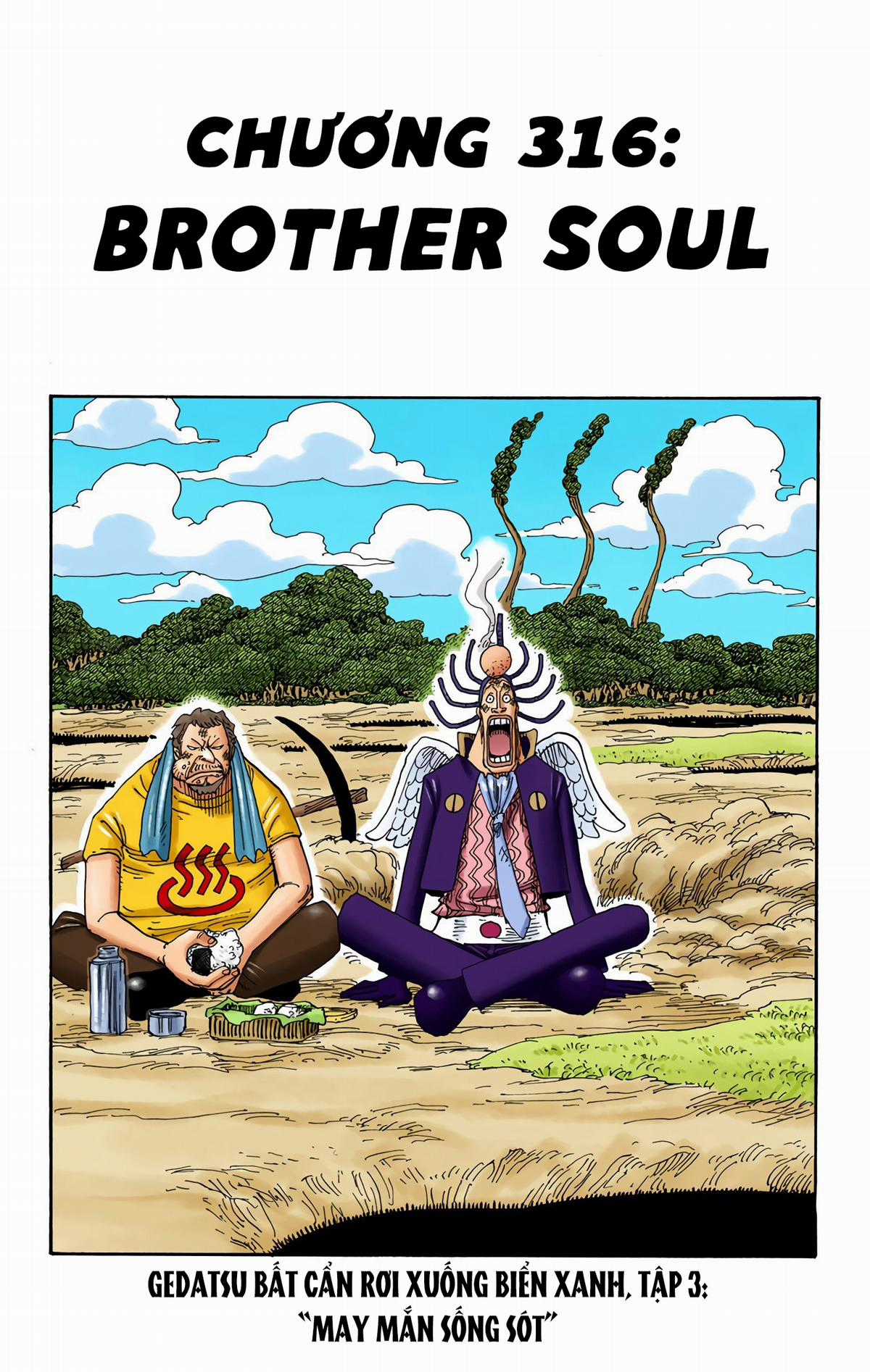 One Piece Color Chapter 316 trang 0