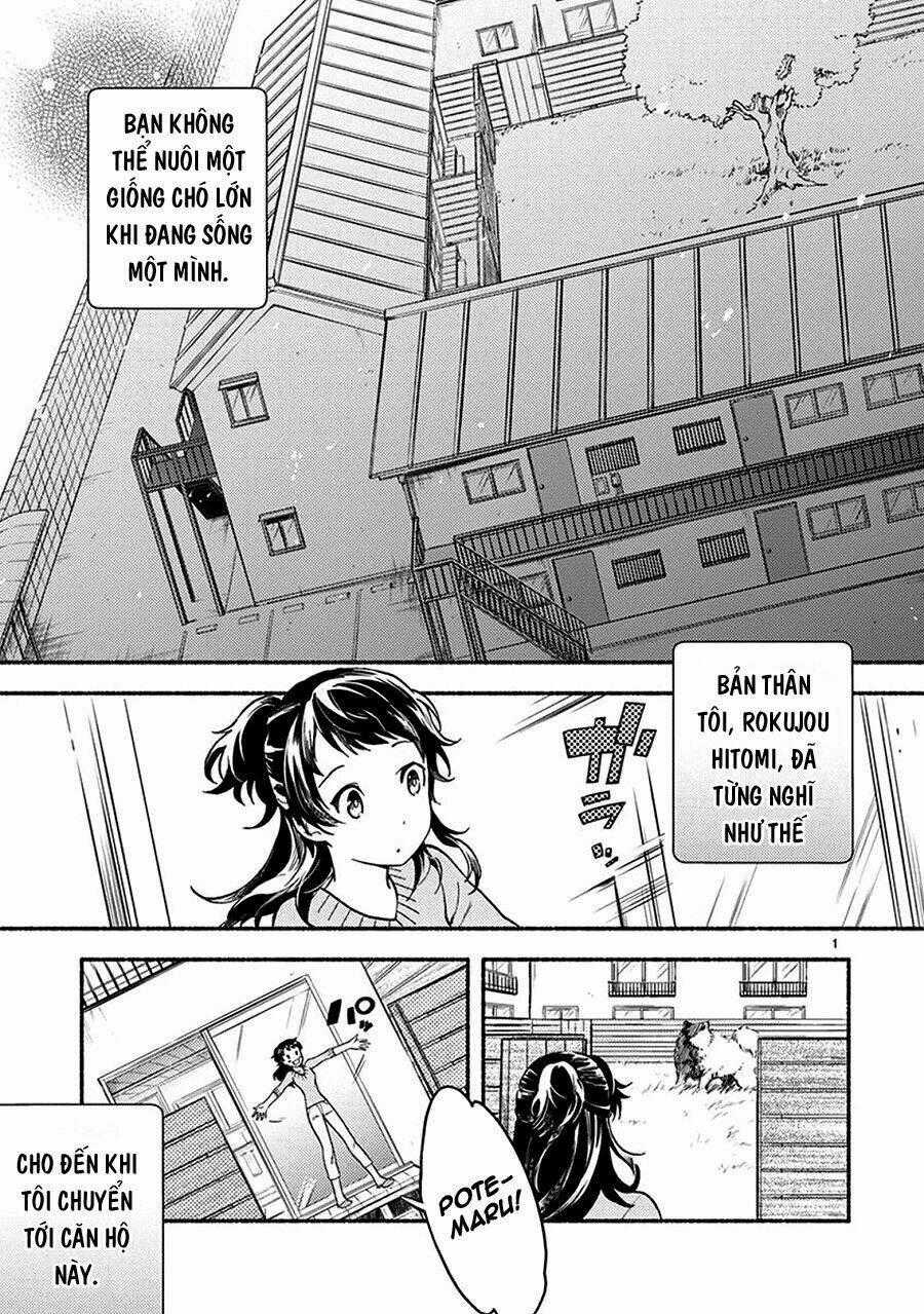 One-Room Wanko Chapter 2 trang 1