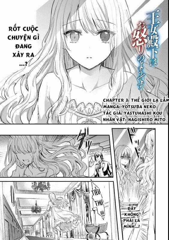 Oujo Denka Wa Oikari No You Chapter 3 trang 1