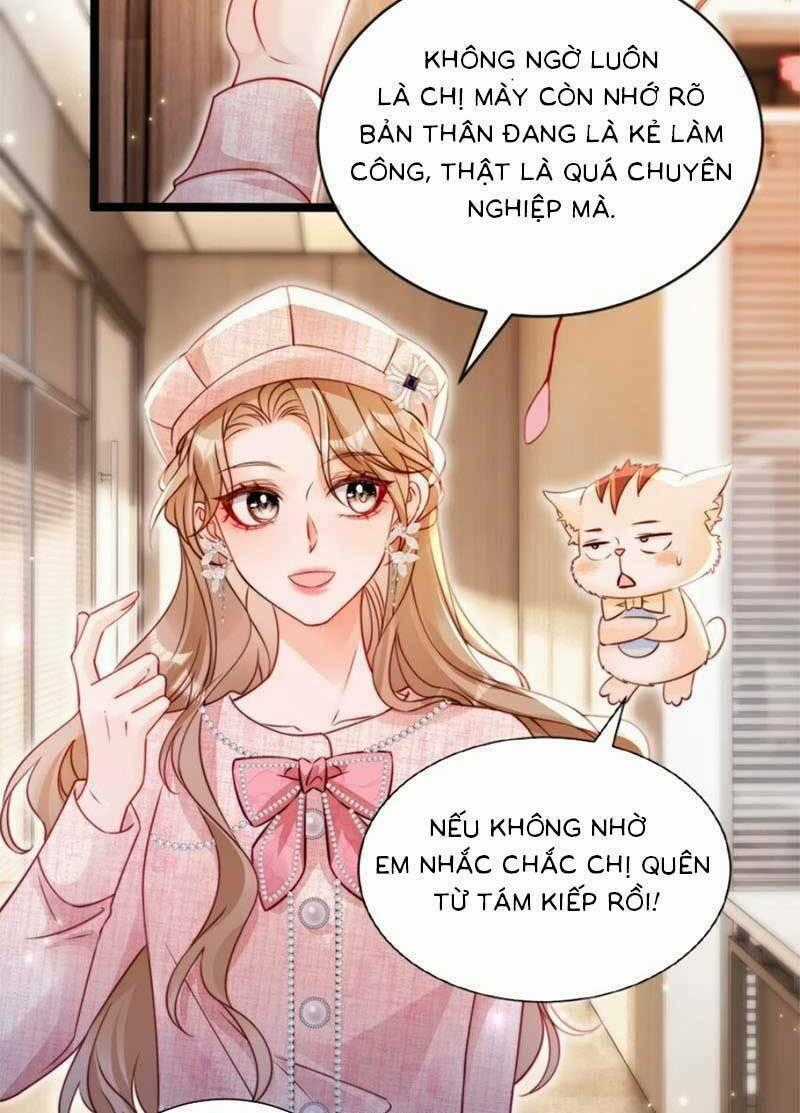 Phá Vỡ Kế Hoạch Của Tra Nam Tôi Về Bên Đại Boss Chapter 47 trang 1