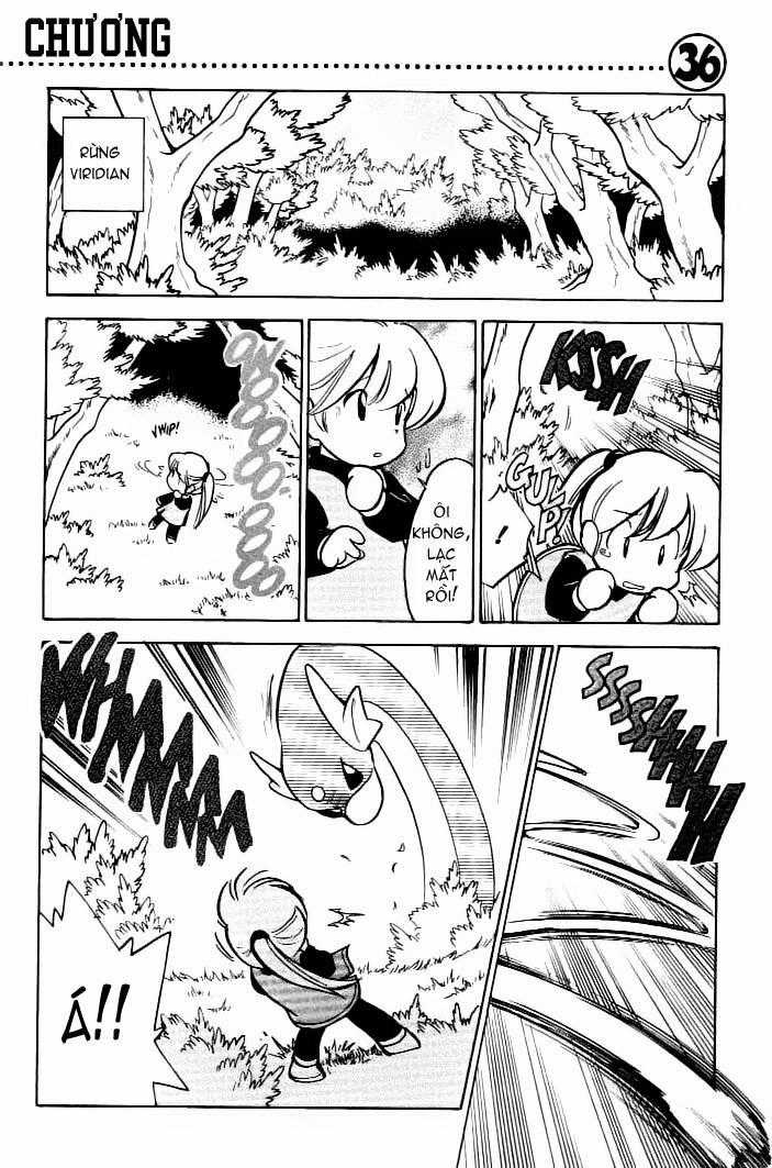 Pokemon Special Chapter 36 trang 1