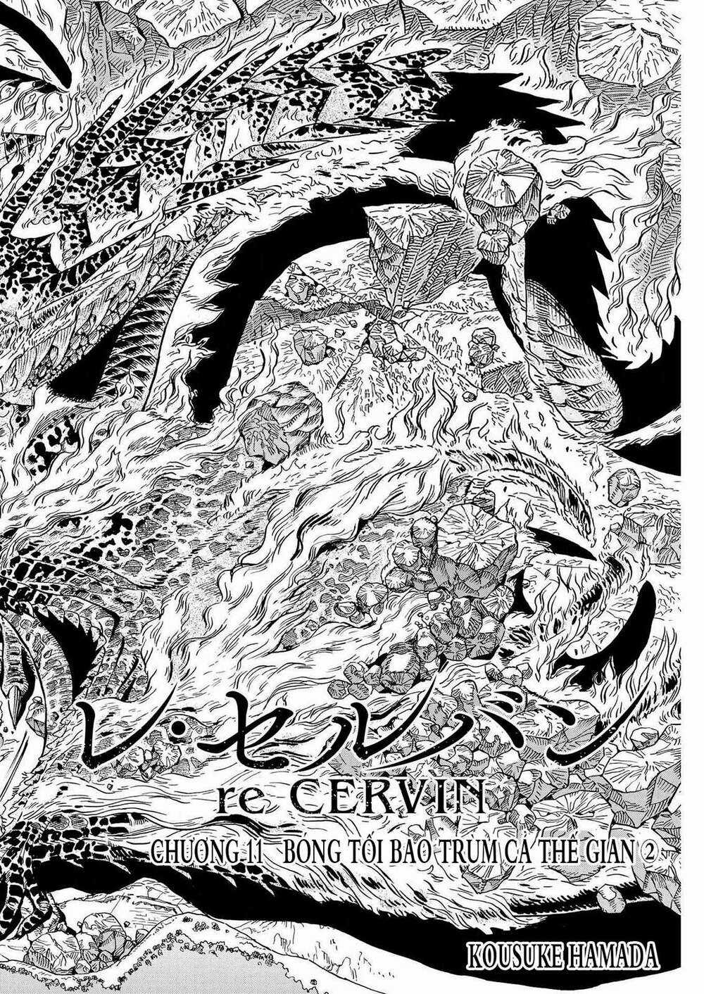 Re Cervin Chapter 11 trang 1