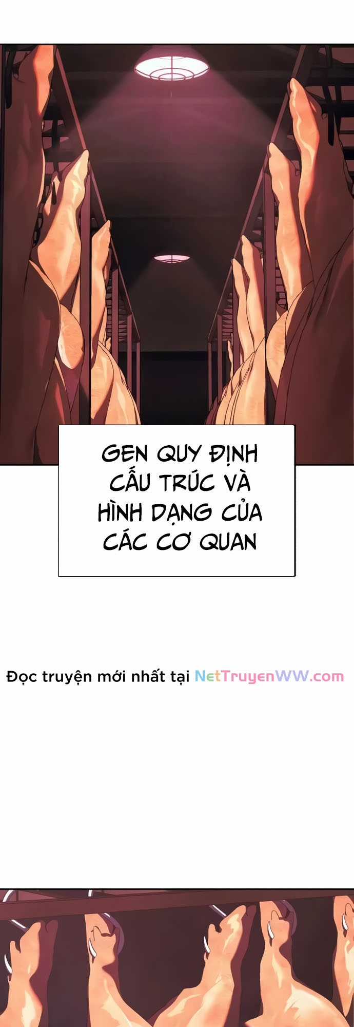 Rỉ Sét Chapter 1 trang 1