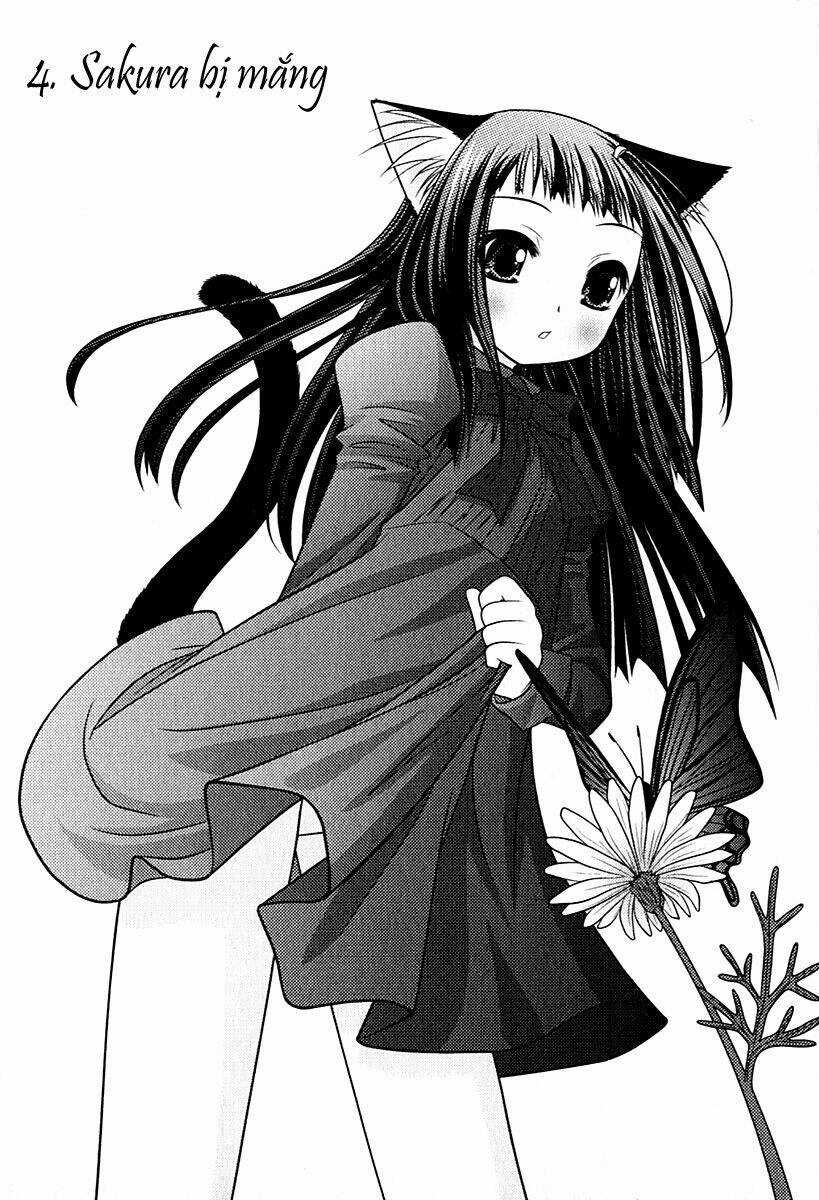 Sakura No Nekohime Chapter 4 trang 0