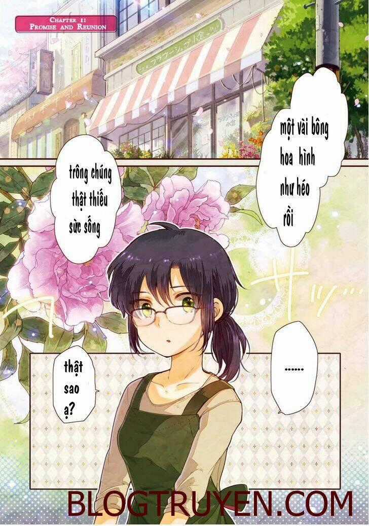 Sayuri-San No Imouto Wa Tenshi Chapter 1 trang 0