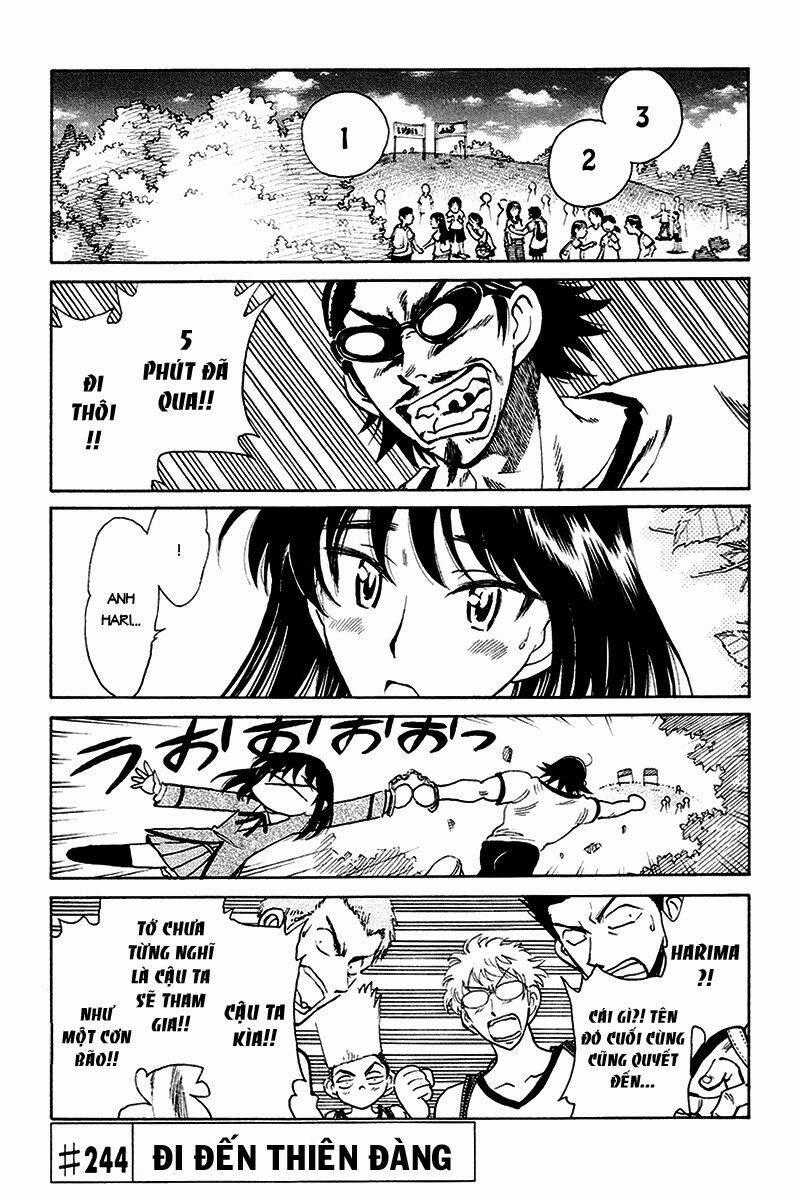 School Rumble Chapter 244 trang 0