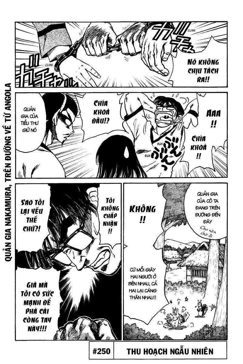 School Rumble Chapter 250 trang 0