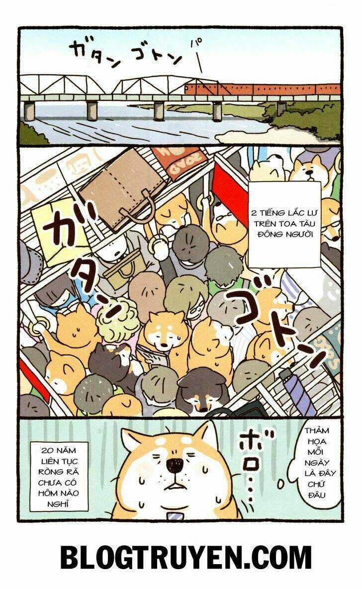 Shiba Occhan Chapter 1 trang 1