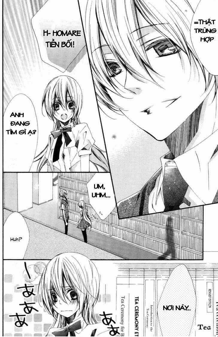 Starry Sky - After Season Chapter 1 trang 1