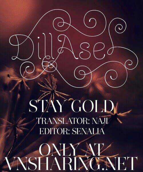 Stay Gold Chapter 1 trang 0