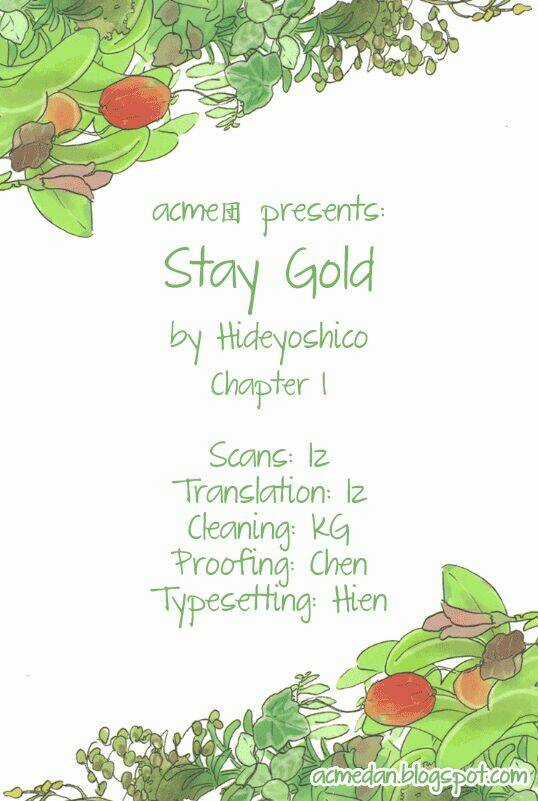 Stay Gold Chapter 1 trang 1