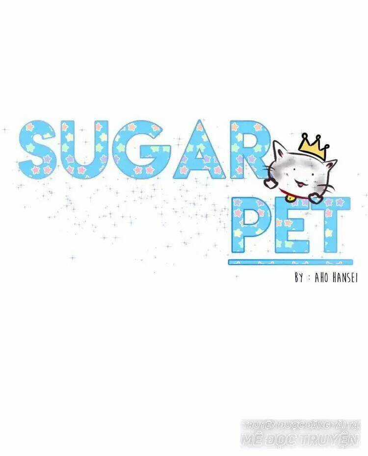 Sugar Pet Chapter 14 trang 0