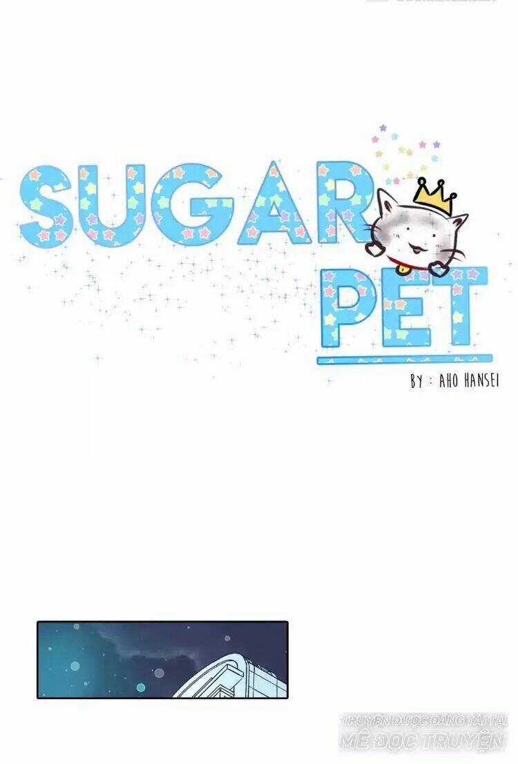 Sugar Pet Chapter 17 trang 0