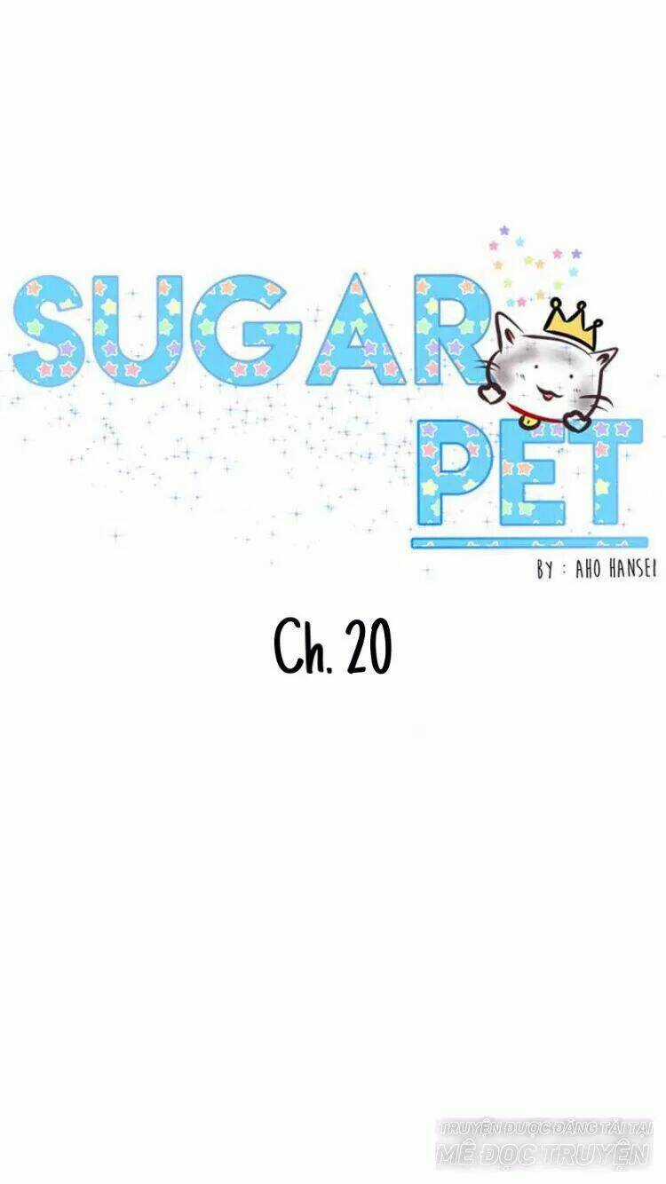 Sugar Pet Chapter 20 trang 0