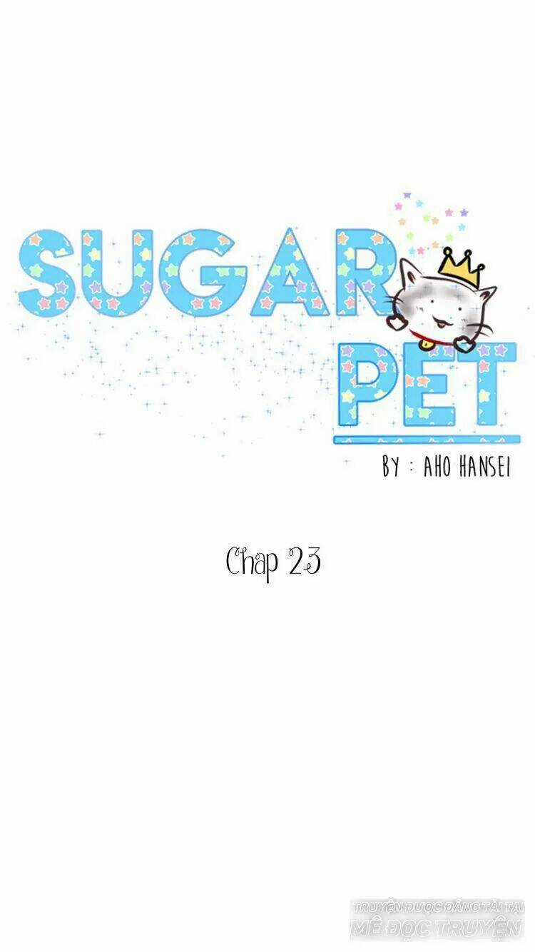 Sugar Pet Chapter 23 trang 0