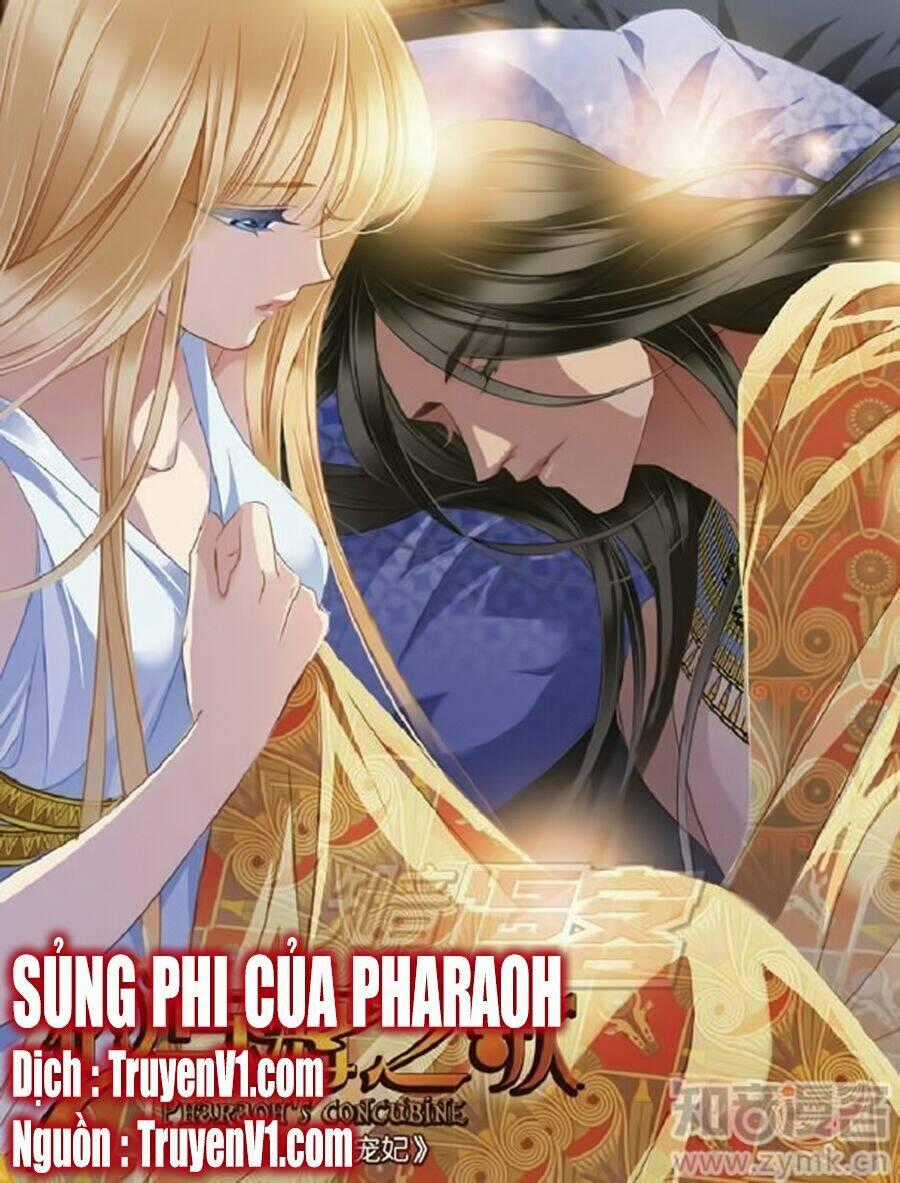 Sủng Phi Của Pharaoh Chapter 54 trang 0