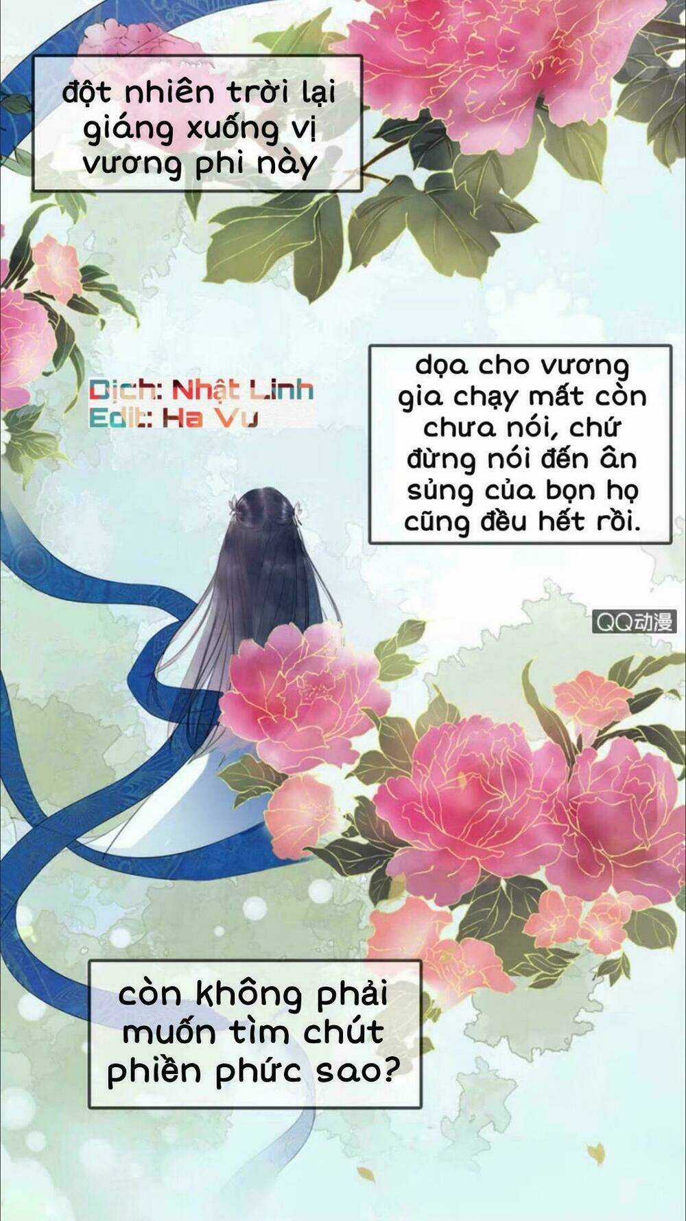 Sủng Phi Của Vương Chapter 4 trang 1