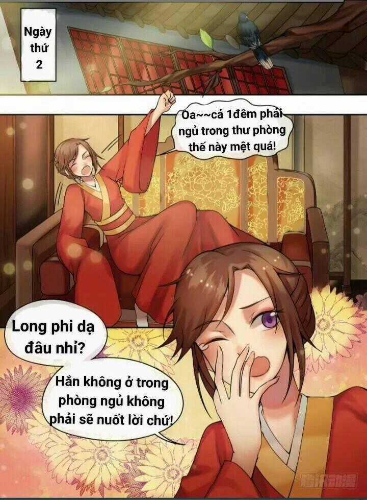 Thiên Tài Tiểu Độc Phi Chapter 8 trang 1