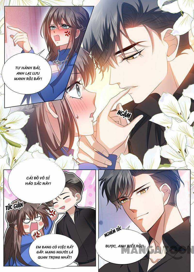 Thiếu Soái! Vợ Ngài Lại Bỏ Trốn Chapter 500 trang 0