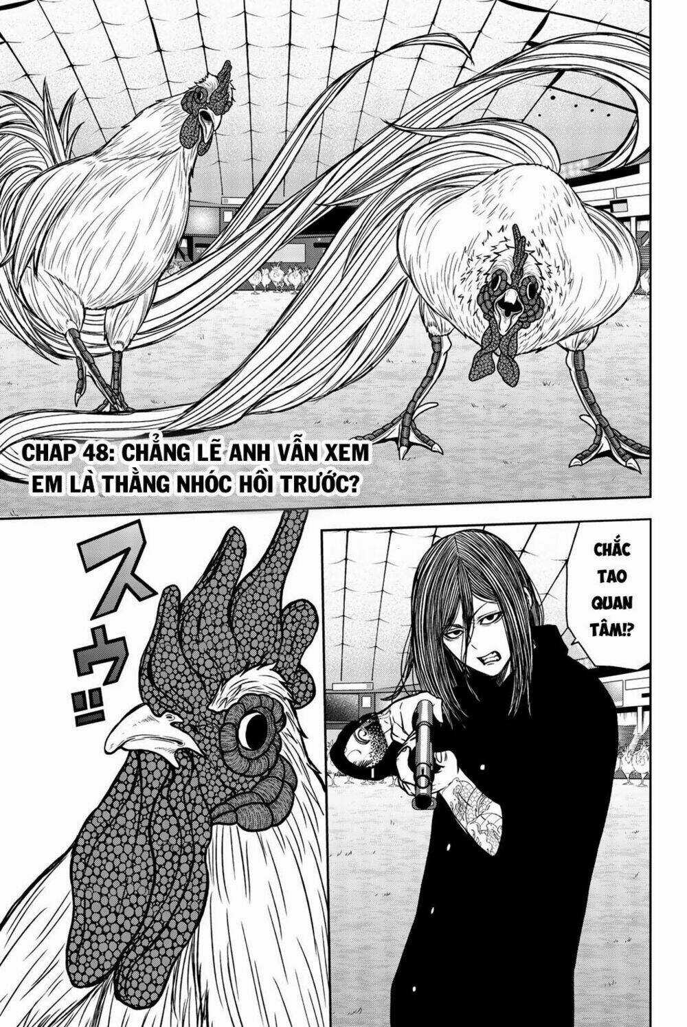 Tiếng Gáy Sát Thủ Chapter 48 trang 0