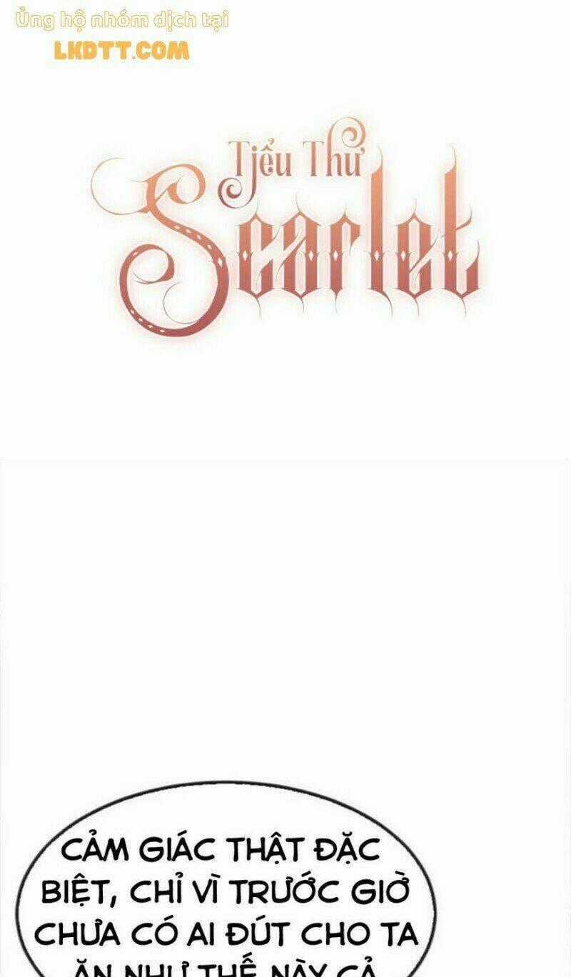 Tiểu Thư Scarlet Chapter 5 trang 1