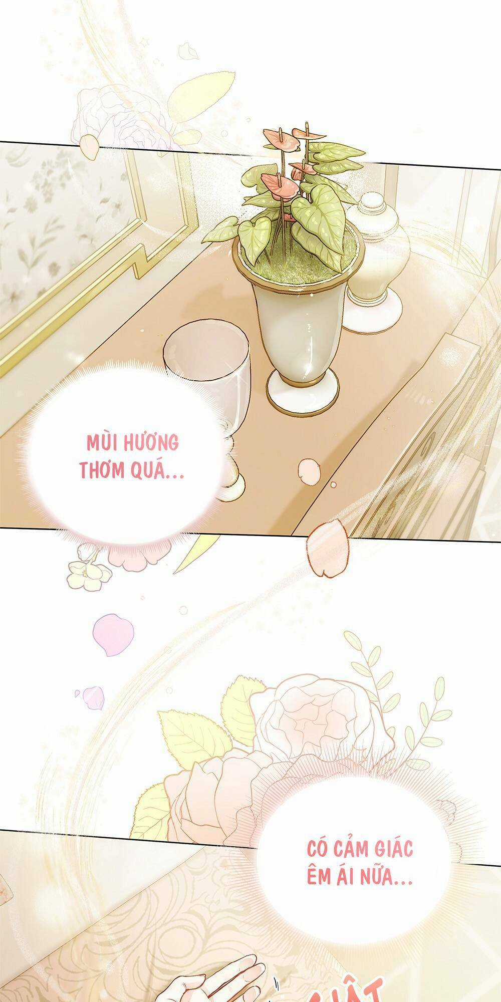 Tìm Lại Camellia Chapter 2 trang 1