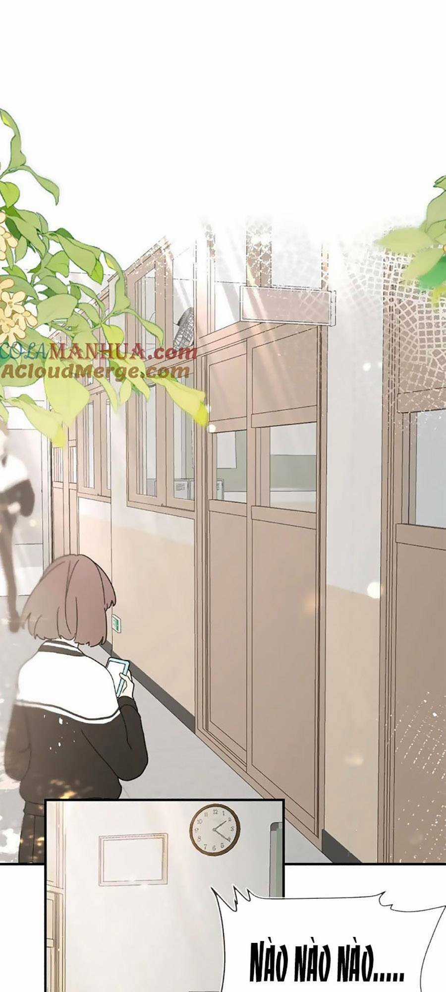 Tình Yêu Duy Nhất Của Tôi Chapter 50 trang 1