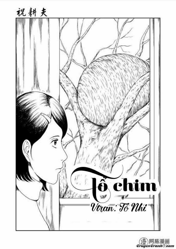 Tổ Chim Chapter 1 trang 0