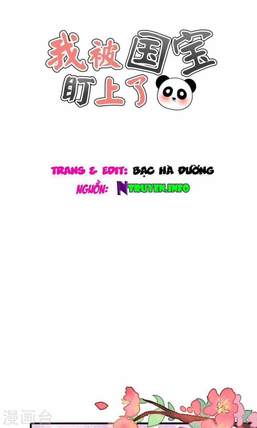 Tôi Bị Gấu Trúc Nhìn Trúng Rồi Chapter 12 trang 0