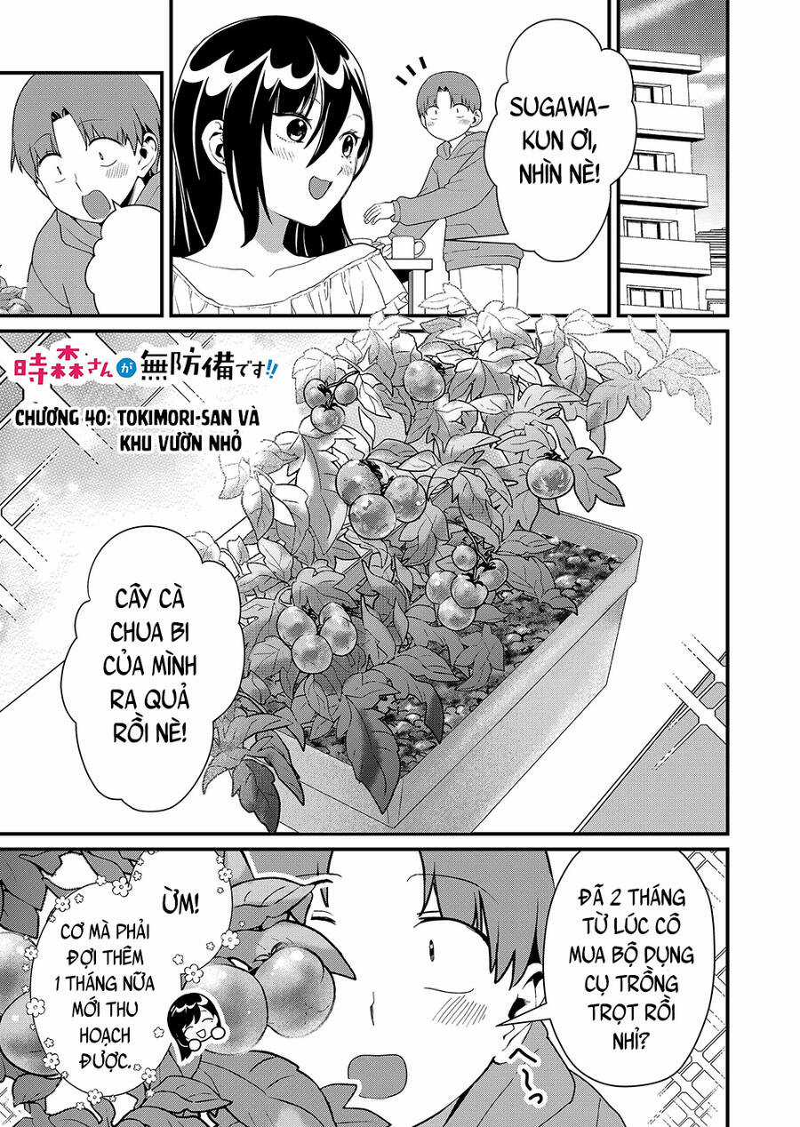 Tokimori-San Chẳng Chút Phòng Bị!! Chapter 40 trang 1